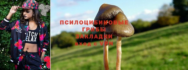 эйфоретик Медногорск