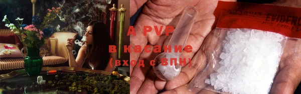 ГАЛЛЮЦИНОГЕННЫЕ ГРИБЫ Магас