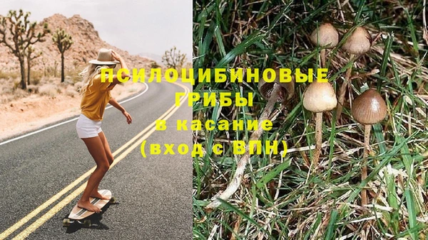 ГАЛЛЮЦИНОГЕННЫЕ ГРИБЫ Магас