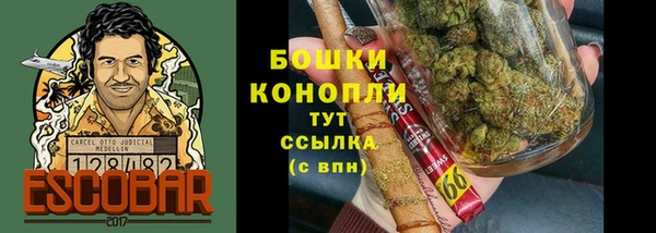 ГАЛЛЮЦИНОГЕННЫЕ ГРИБЫ Магас