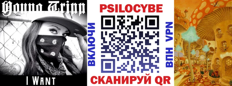 Галлюциногенные грибы Cubensis OMG сайт Александровское